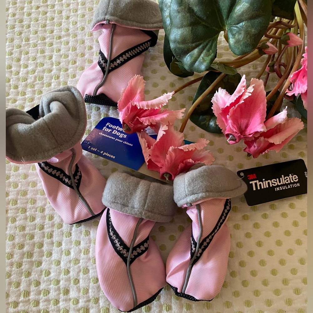 Dog Winter Footwear